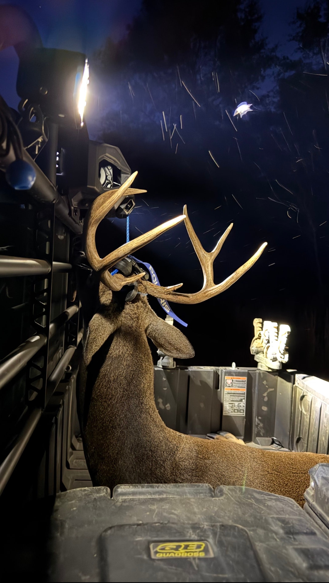 Buck loaded in the UTV after the evening hunt.