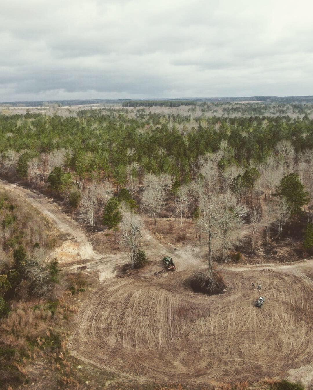 Dozer work carving a new food plot out of the pines