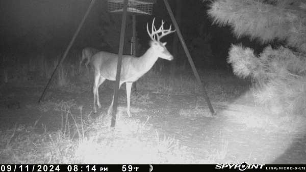 Healthy 10 point at TBF.