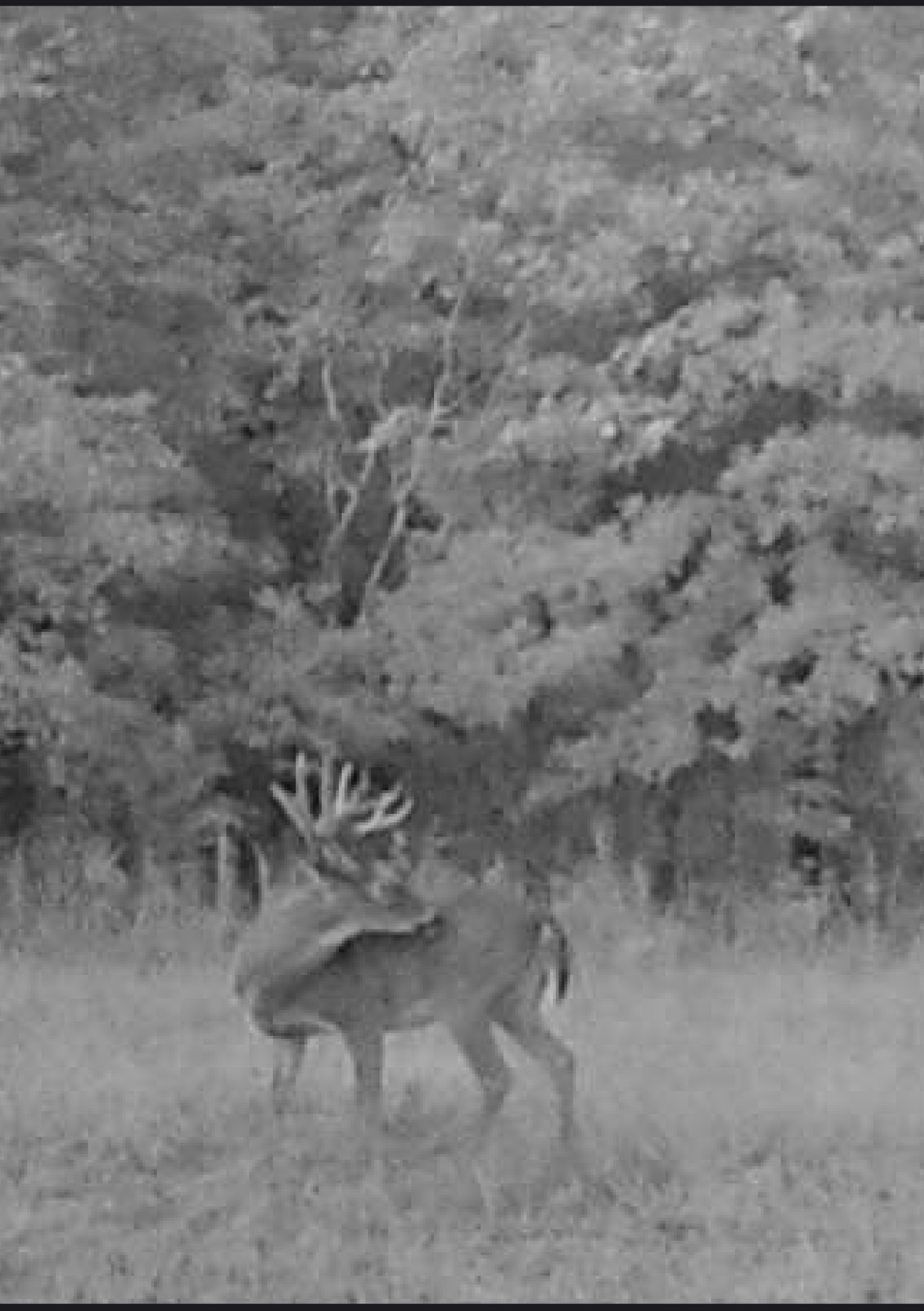 Sept 2026 shooter 13-point — will we get him this year?