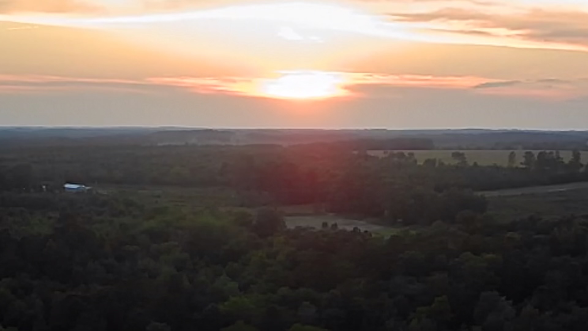 Timber stands at sunset on the ranch.