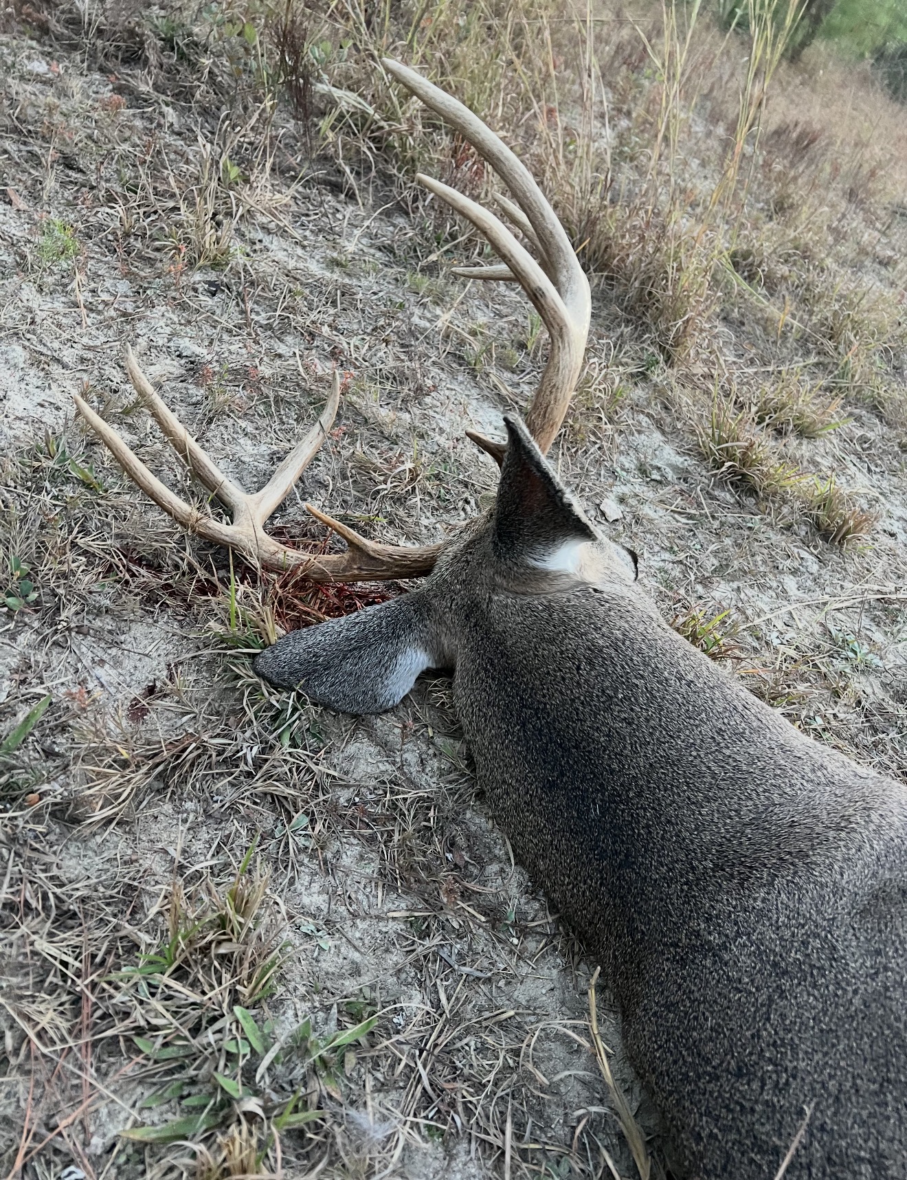 Perfect 10-point down.