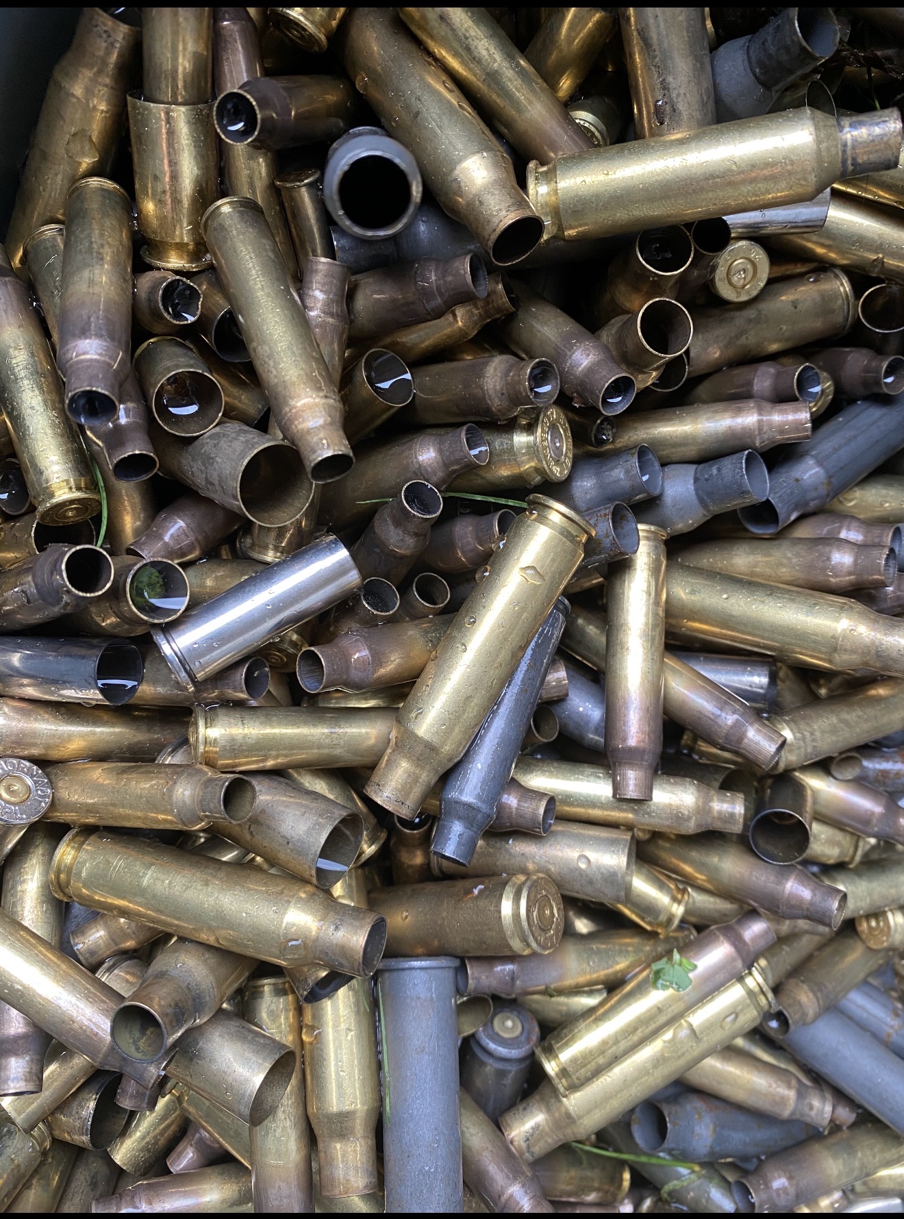 Spent brass after a range day.