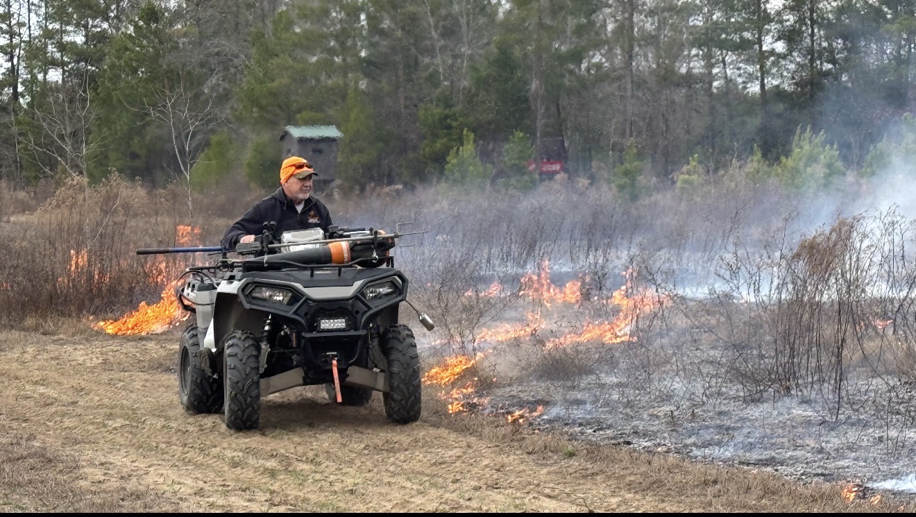 JB running a drip torch from the ATV along the burn line.