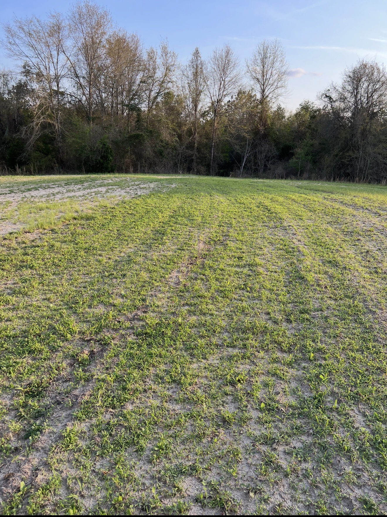 Dove field.